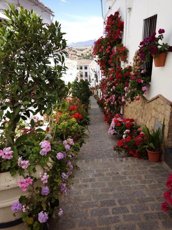 Casa De Las Flores - A Picture Perfect Location! El Gastor Exterior photo